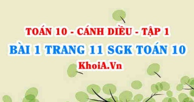 Bài 1 trang 11 SGK Toán 10 tập 1 Cánh Diều